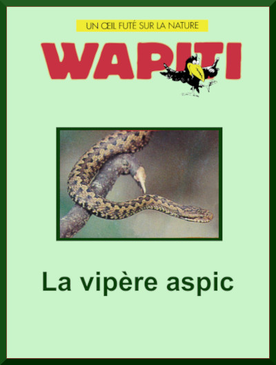 VIPERE ASPIC (La)