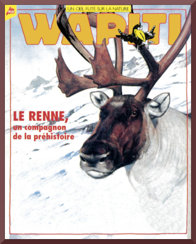 RENNE (le) Un compagnon de la préhistoire